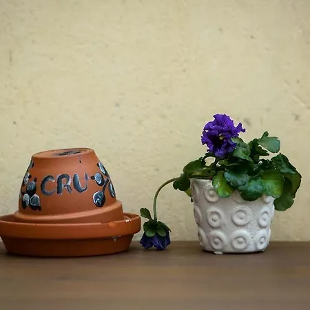 Cru Szálloda Tallinn